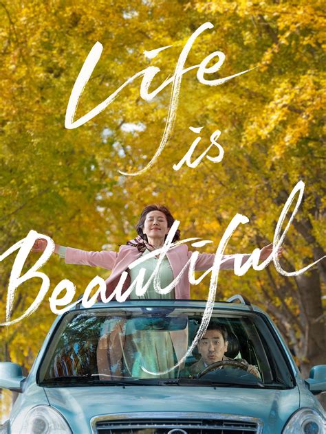 life is beautiful subtitles|More.